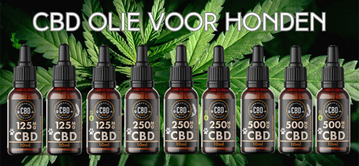 Verschillende flesjes CBD olie voor honden