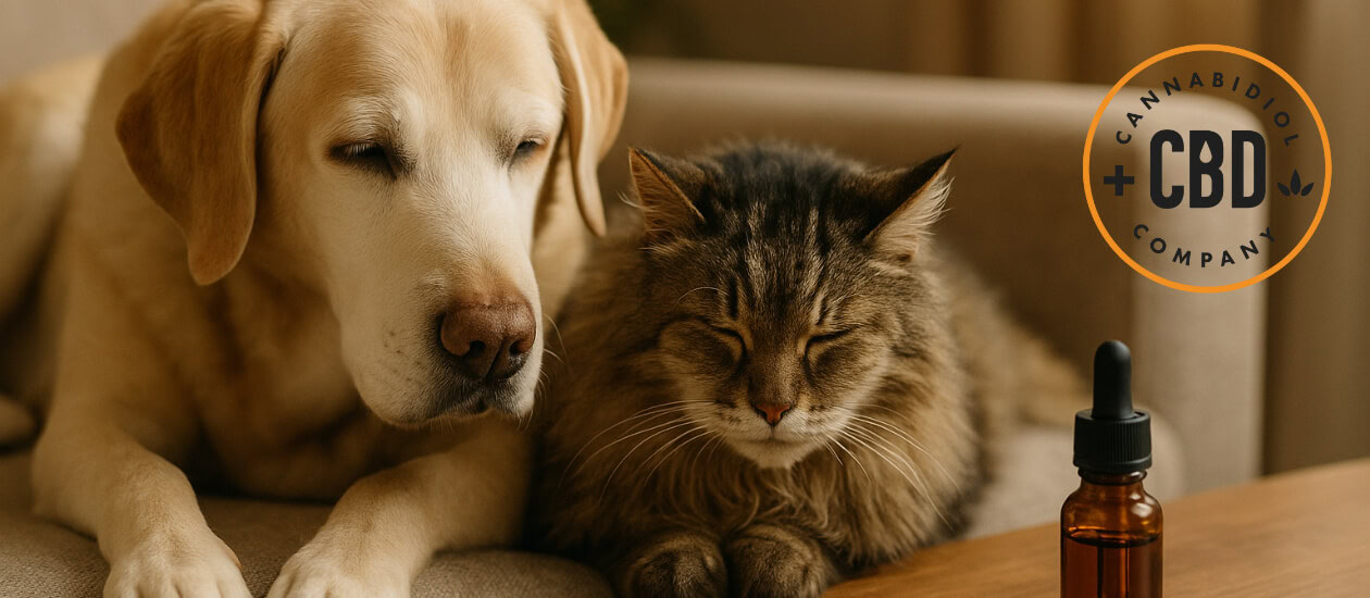 Waarom ouderdom extra zorg vraagt Net als mensen krijgen ook huisdieren naarmate ze ouder worden te maken met lichamelijke en geestelijke veranderingen. Oudere honden, katten, knaagdieren en vogels kunnen stijver bewegen, minder energie hebben of gevoeliger worden voor stress. De stofwisseling vertraagt, het immuunsysteem verzwakt en het herstel na inspanning of ziekte duurt langer. Voor […]