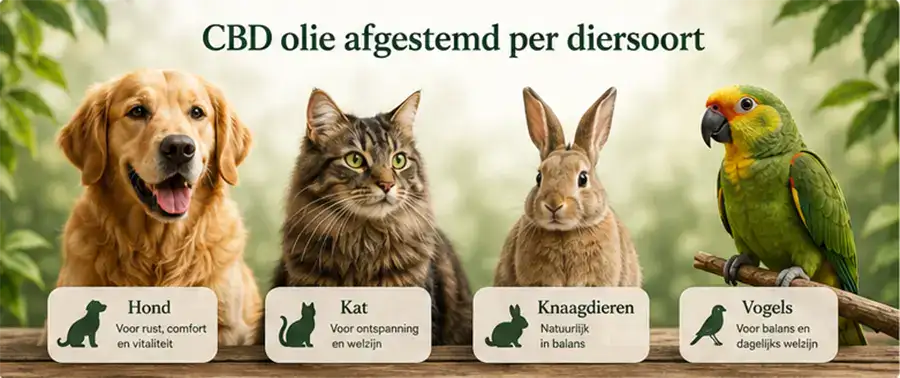 CBD olie voor honden, katten, knaagdieren en vogels