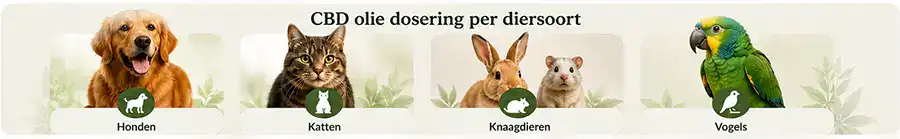 CBD olie dosering voor honden, katten, knaagdieren en vogels