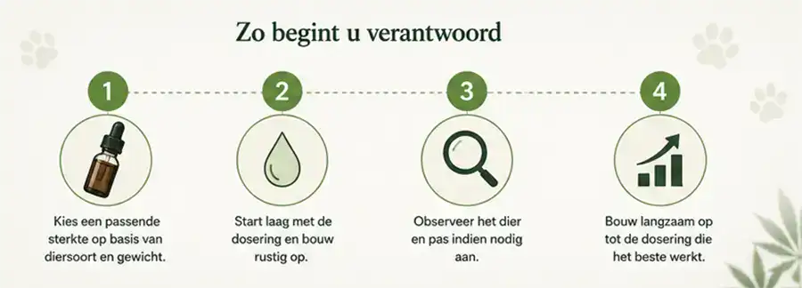Stappenplan voor verantwoord doseren van CBD olie bij huisdieren