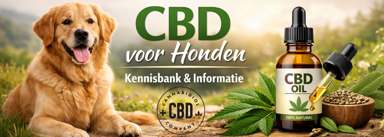 CBD olie hond: waarom steeds meer baasjes hiervoor kiezen CBD olie hond wordt door steeds meer hondeneigenaren gebruikt als natuurlijke ondersteuning voor welzijn, rust en comfort. Het wordt ingezet als aanvulling op reguliere zorg bij stress, spanning, herstel en dagelijkse balans, mits verantwoord en goed gedoseerd. Wil je direct een passende olie kiezen? Bekijk dan [&hellip;]