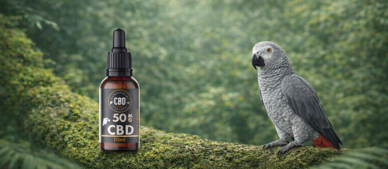 Inhoudsopgave Wat is angst bij grijze roodstaarten? Veelvoorkomende oorzaken van angst Hoe herken je angst bij je papegaai? Waarom CBD olie bij grijze roodstaart angst? Dosering CBD olie bij angstige grijze roodstaarten Hoe geef je CBD aan een angstige papegaai? Is CBD veilig voor deze soort? CBD én aanvullende maatregelen Interne links binnen het vogelcluster [&hellip;]