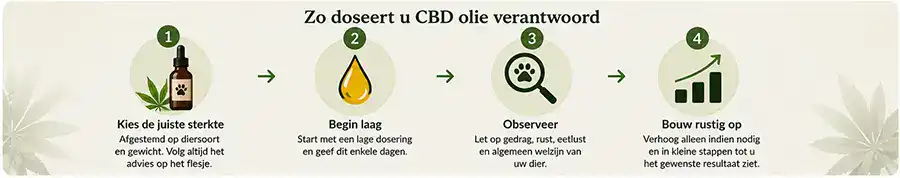 Verantwoord CBD olie doseren bij huisdieren in vier stappen