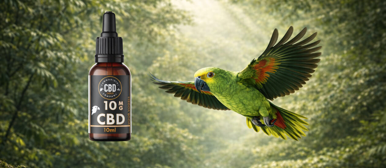 Inhoudsopgave Waarom dosering bij Amazones zo belangrijk is Factoren die de juiste CBD-dosering bepalen Algemene richtlijn in mg CBD per kilogram lichaamsgewicht Tabel: dosering CBD olie Amazone papegaai Van milligram naar druppels — zo reken je het om Praktische rekenvoorbeelden Hoe vaak per dag CBD geven? Dosering opbouwen en afbouwen Veelgemaakte fouten bij dosering Veelgestelde [&hellip;]