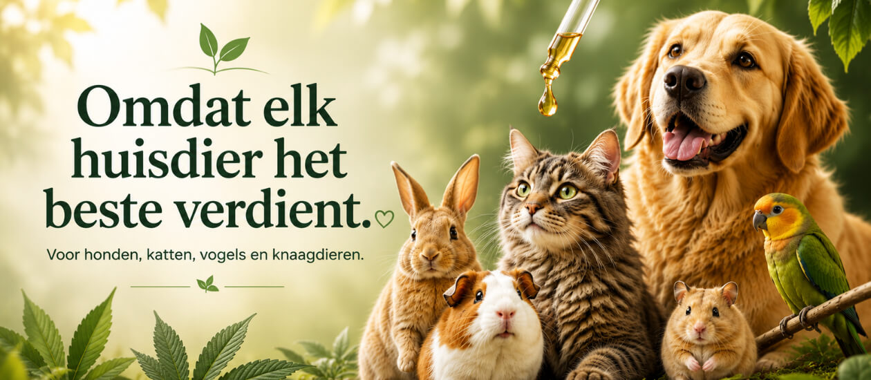 CBD olie voor huisdieren – biologisch en THC-vrij voor honden, katten, knaagdieren en vogels