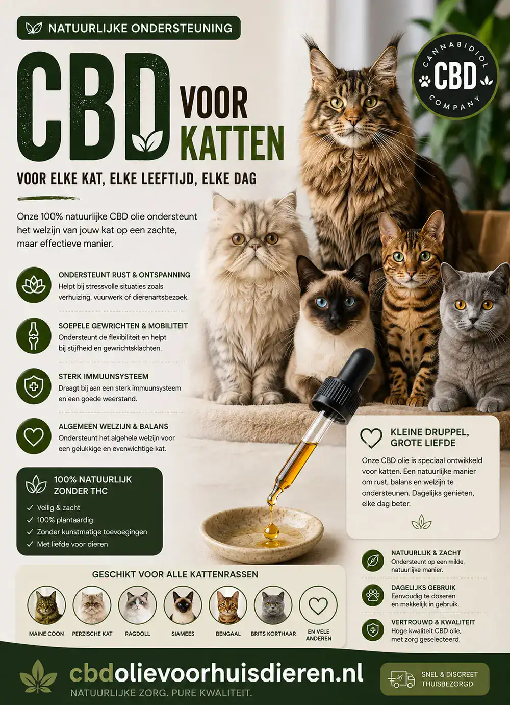 Ontspannen kat dankzij THC-vrije CBD olie