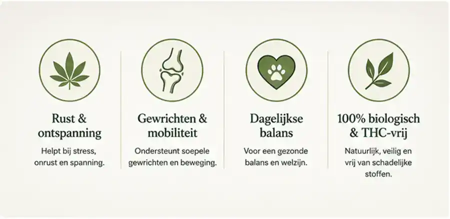 Voordelen van CBD olie voor huisdieren