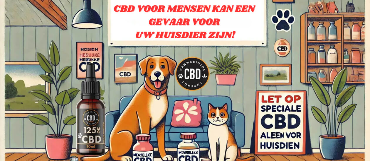 Het gebruik van CBD-olie is enorm populair onder mensen vanwege de potentiële gezondheidsvoordelen. Het wordt vaak ingezet voor het verlichten van pijn, het verminderen van angst en het verbeteren van het algehele welzijn. Het is dan ook begrijpelijk dat veel huisdiereigenaren zich afvragen of hun geliefde dieren ook kunnen profiteren van CBD. Echter, het is […]