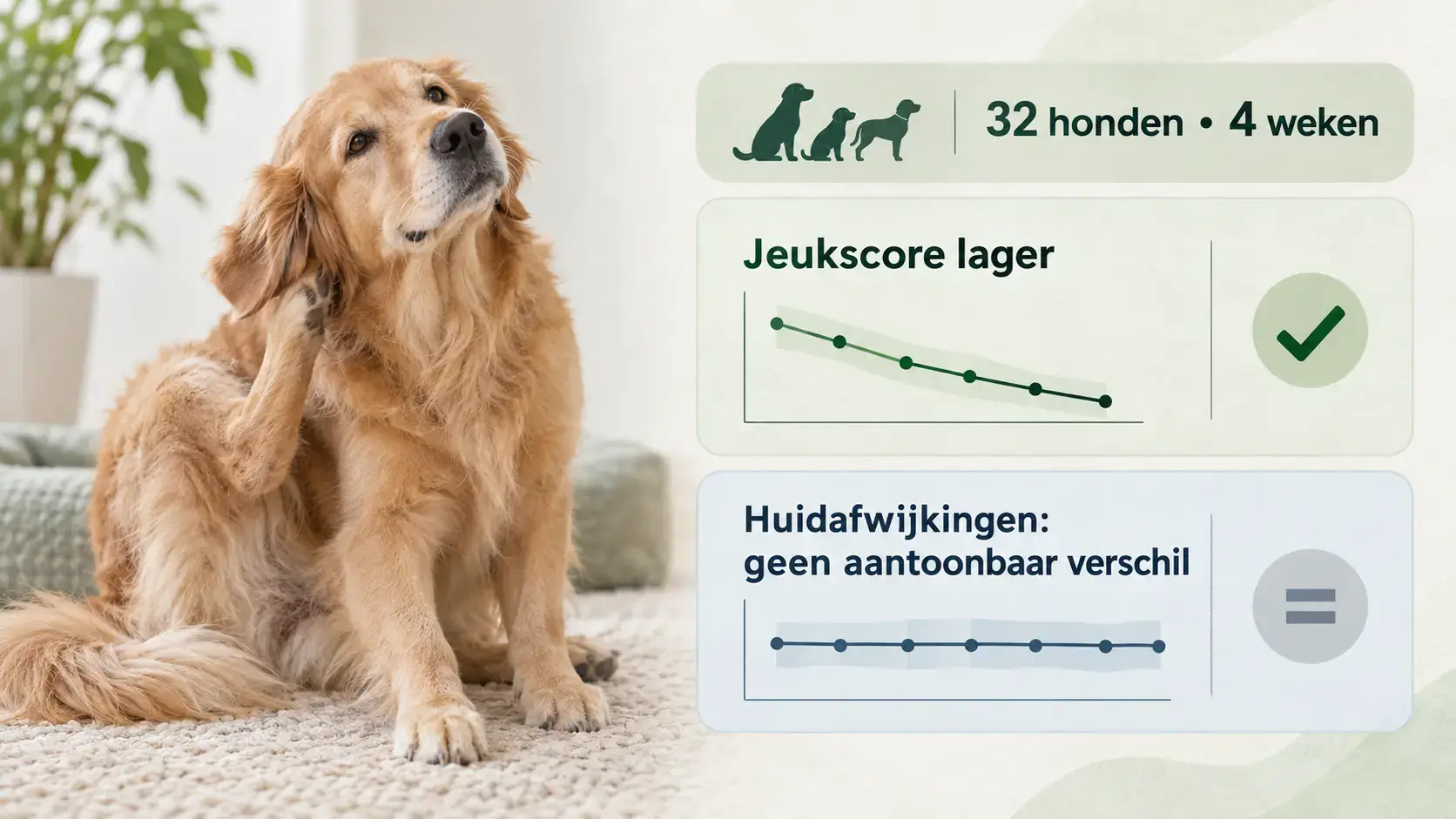 Onderzoek naar CBD-olie en jeuk bij honden Kan CBD-olie iets betekenen voor een hond die veel last heeft van jeuk? Die vraag wordt steeds vaker gesteld door hondeneigenaren. Een gerandomiseerd, dubbelblind en placebogecontroleerd onderzoek uit 2022 geeft een voorzichtig positief antwoord. Honden met atopische dermatitis kregen gedurende vier weken een olie met een gelijke combinatie [&hellip;]