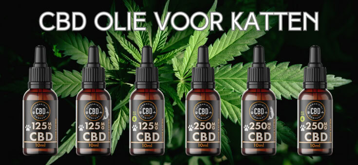 Veilige CBD speciaal voor katten