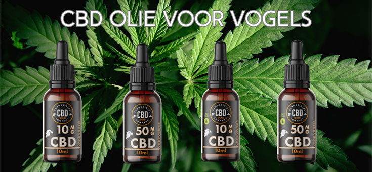 Flesjes met biologische CBD olie speciaal voor vogels